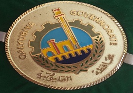 الجوائز والتكريمات